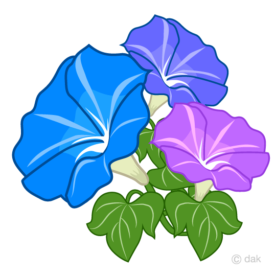 540x540 Free Three Color Morning Glory Flower Clip Art Cartoon