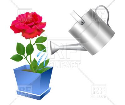 400x335 Watering Can With Rose Royalty Free Vector Clip Art Image