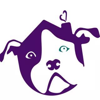 320x320 Pets For Adoption