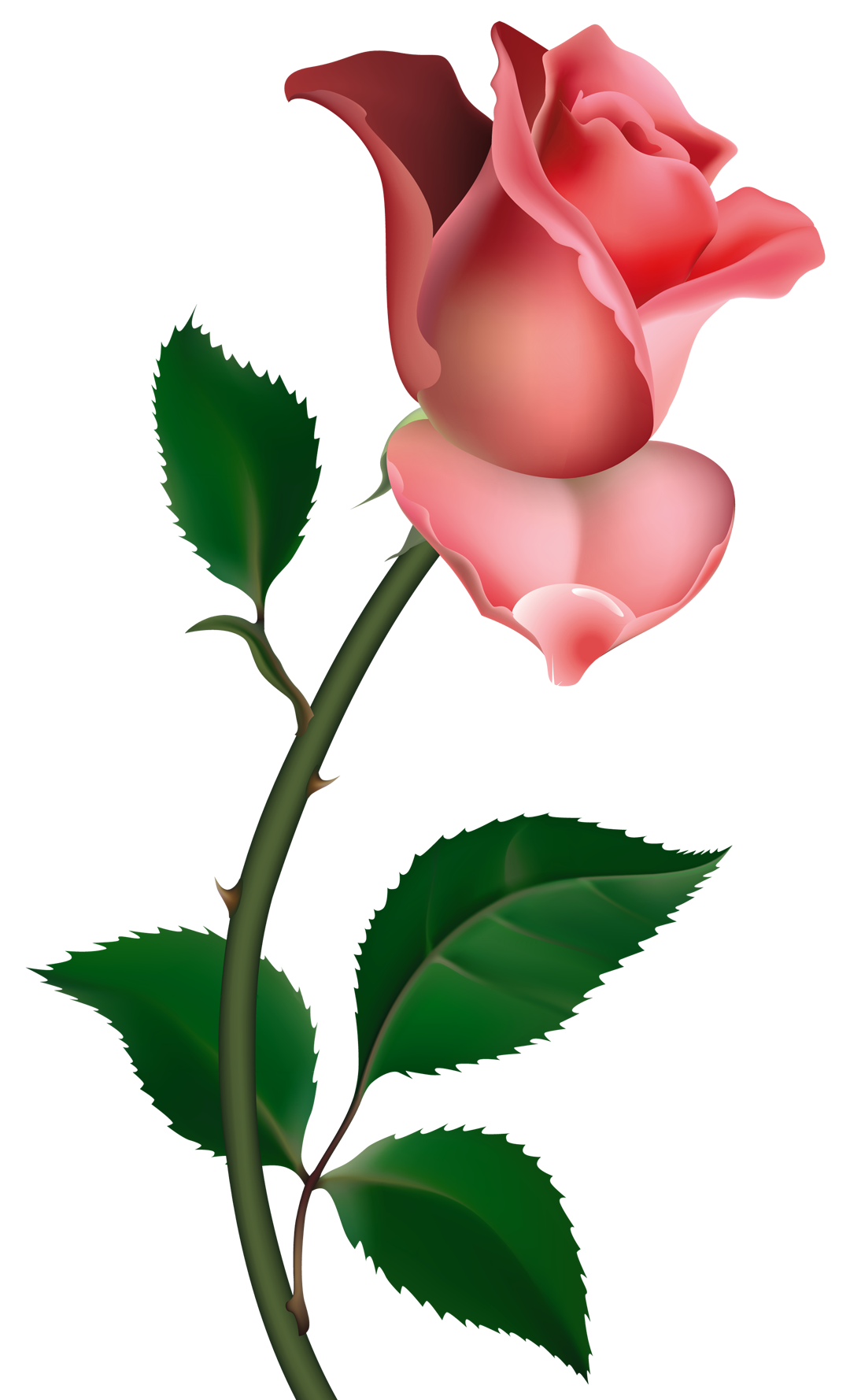 1080x1778 Clipart Rose Png Picture To My Mom, Liz.elsbury, I Miss U Vary