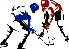 235x165 Surprising White Tiger Clip Art Clipart