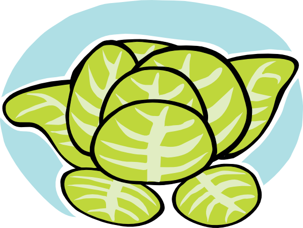 600x452 Iceberg Lettuce Clip Art Free Vector 4vector