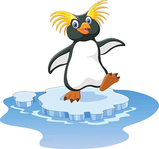 612x574 Penguin On Iceberg Clipart