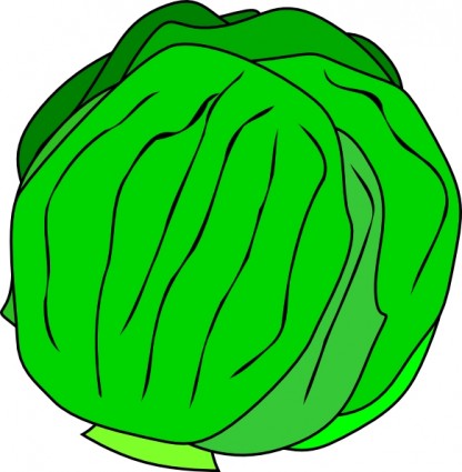 416x425 Whole Lettuce Clip Art Clipart Panda