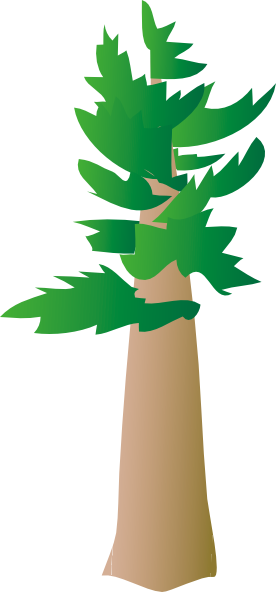276x592 Pine Tree Clipart Clipart Panda