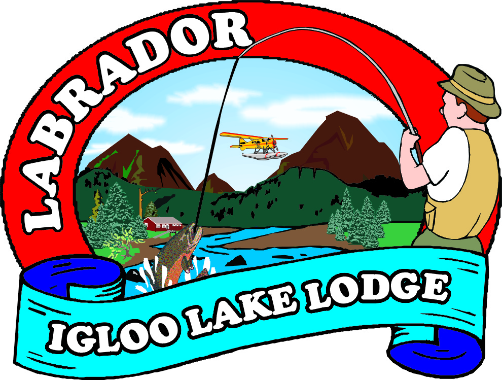 990x749 January Igloo Clipart, Explore Pictures