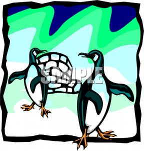 288x300 Penguins And An Igloo
