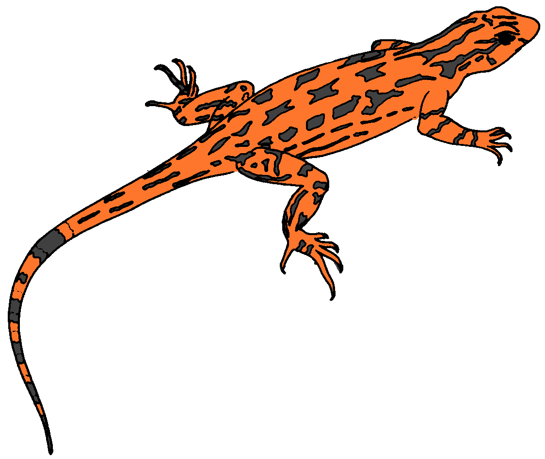 1124x947 Amphibian Clipart Desert Animal