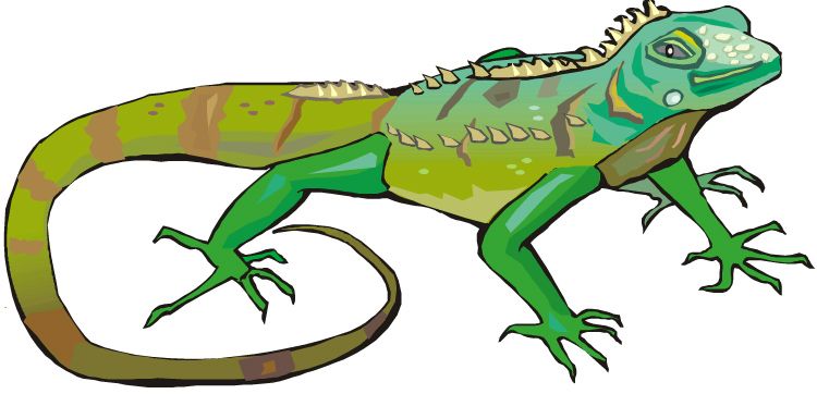 750x362 The Top 5 Best Blogs On Iguana Silhouette Free Clip Art