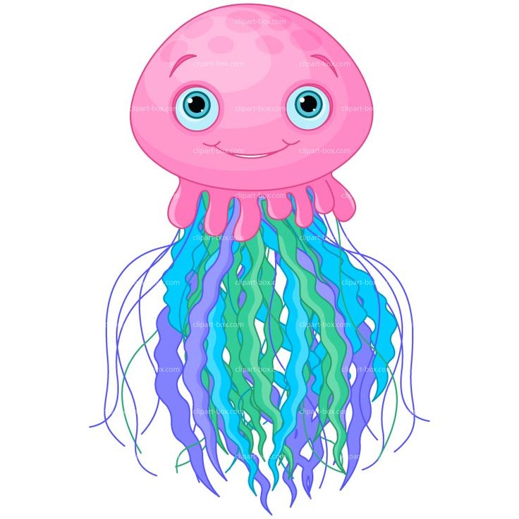 736x736 Jellyfish Jelly Fish Clip Art 3