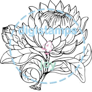 298x300 Digistamps4joy , Online Digital Stamp Shop