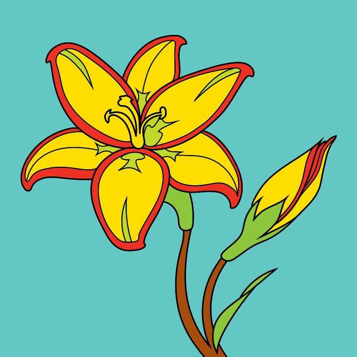 736x736 8 Best Colorfy Coloring Book Images On Coloring Books