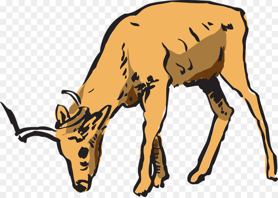 900x640 Deer Impala Antelope Clip Art