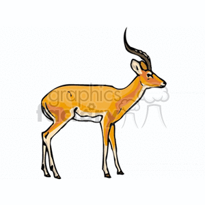 300x300 Royalty Free African Antelope With Curved Horns 129628 Vector Clip