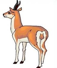 191x228 Top 81 Antelope Clipart