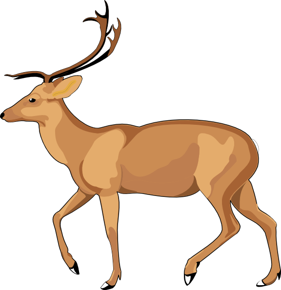576x595 Walking Animals Clipart
