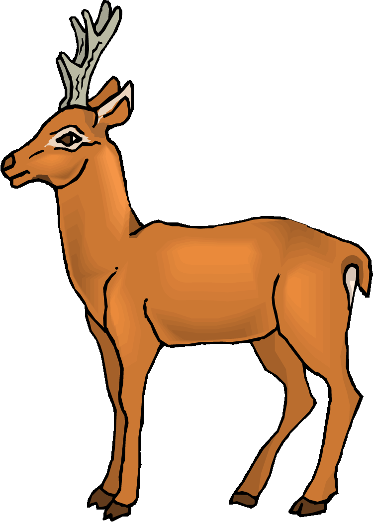 750x1049 Antelope Clipart Cute