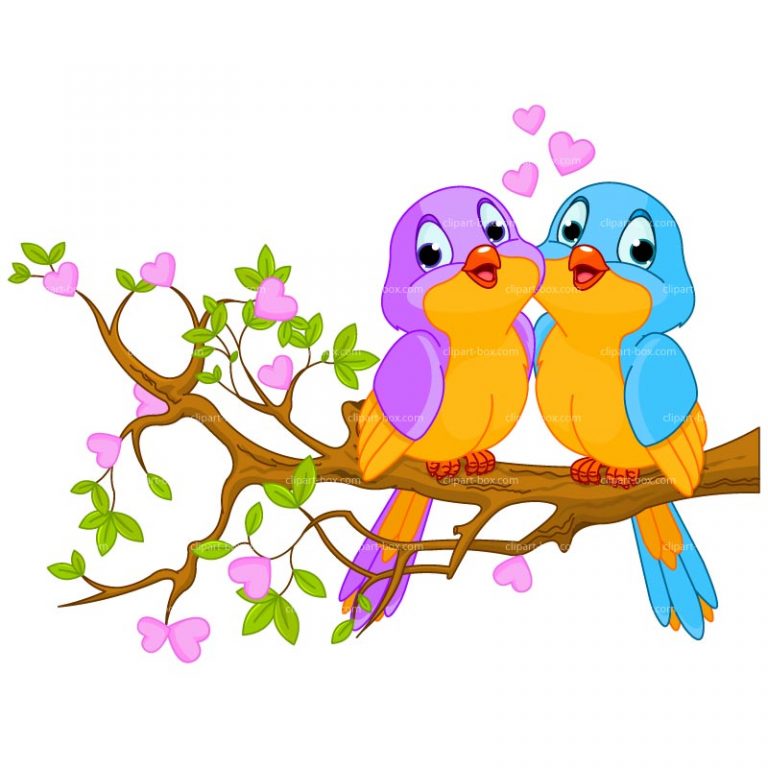 768x768 Love Birds Clipart Love Bird Clip Art Dromggm Top
