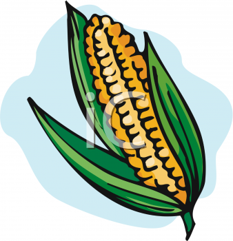 338x350 Farm Corn Clipart