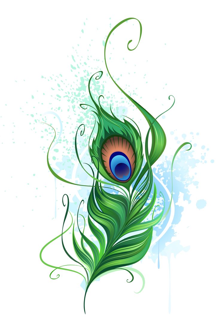 736x1077 Flute With Peacock Feather Clip Art Clipart