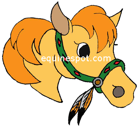 450x435 Horse Clipart