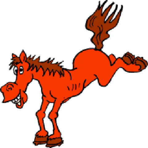 480x480 Horse Clipart Drunk