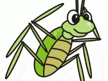 220x165 Cute Cricket Insect Clipart