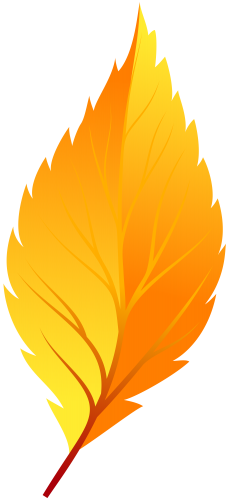 229x500 Yellow Autumn Leaf Png Clip Art Clip Art Clip Art