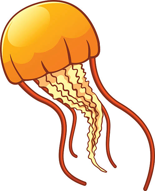 497x612 Jellyfish Clipart Jelly Fish Clip Art 120423