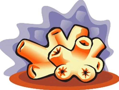 497x374 Learning Ideas