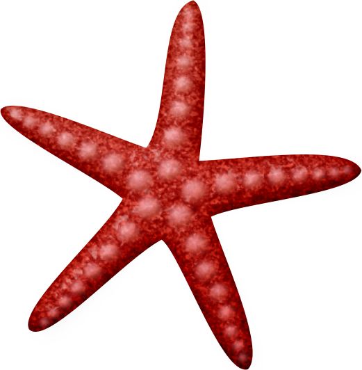 521x532 Marine Life Clipart Beach Animal