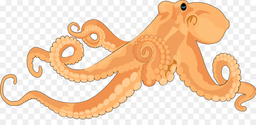 900x440 Octopus Free Content Clip Art
