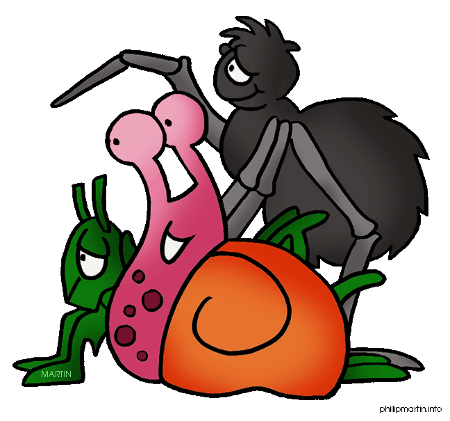 648x605 Animals Clip Art By Phillip Martin, Invertebrates