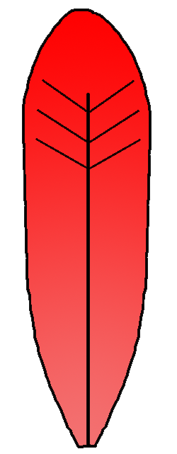 250x641 Turkey Feather Clip Art Free Collection Download And Share