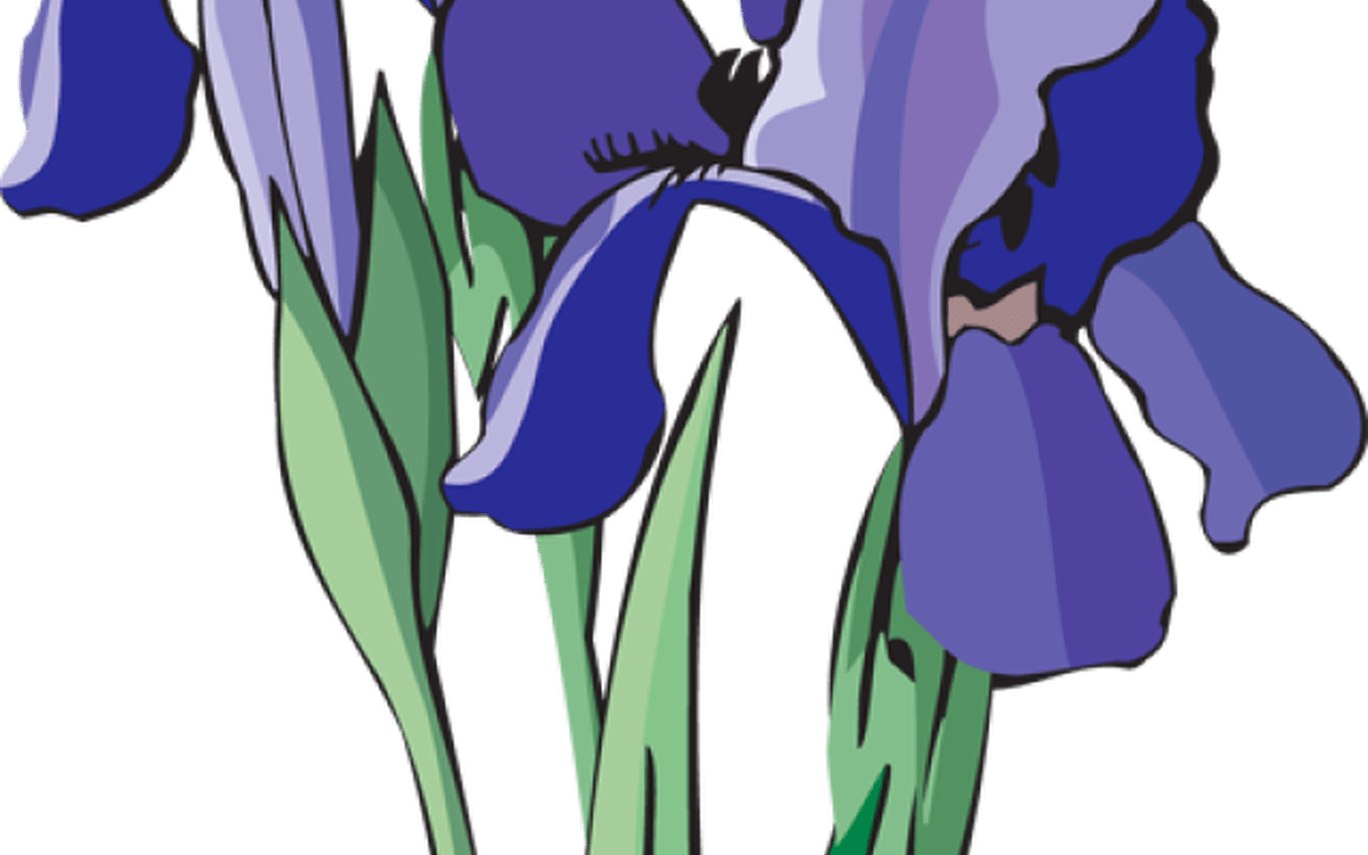 1368x855 Cute Flower Clip Art Transparent Gardening Flower And Vegetables