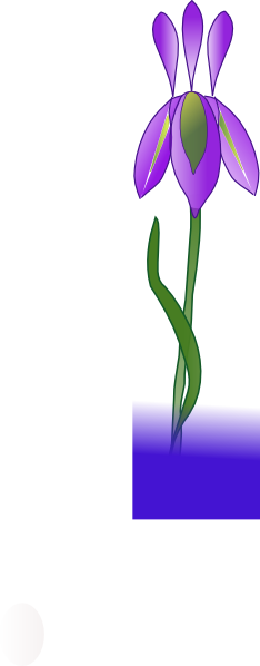 234x598 Iris Png, Svg Clip Art For Web