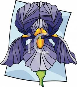 267x300 Graphic Iris Iris Love Iris, Flower Clipart