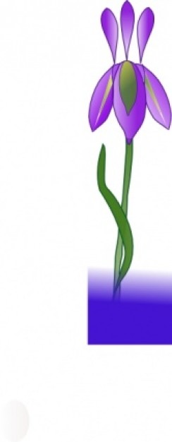 244x626 Iris Clip Art. Previous Next Clipart Panda