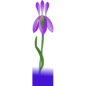 300x300 Iris Clipart, Cliparts Of Iris Free Download (Wmf, Eps, Emf, Svg