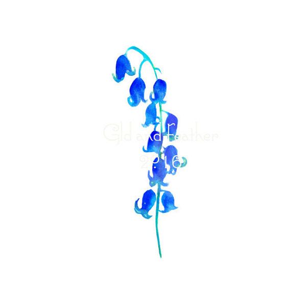 570x570 Purple Blue Flower Image Iris Painted In Watercolour Digital