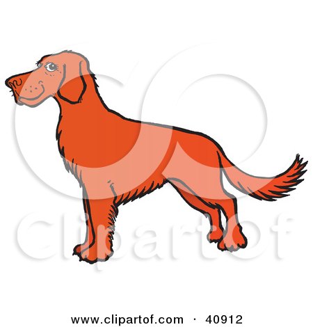 450x470 Clipart Illustration Of An Adorable And Friendly Brown And White