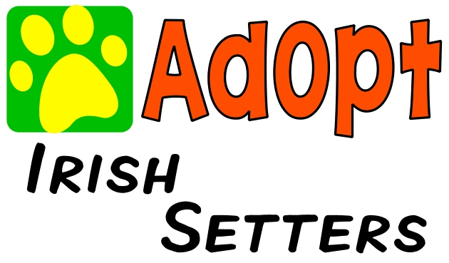 630x369 Irish Setters