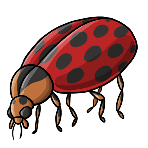 500x500 Free Ladybug Clip Art 19