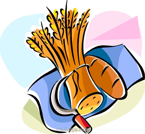 480x446 Religious Holidays Israel Shavuot Wheat Royalty Free Vector Clip