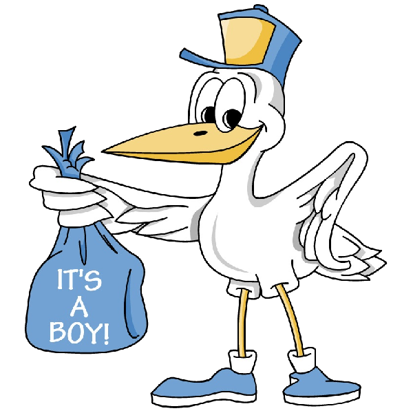 600x600 Cartoon Stork Image Delivering Baby Boy