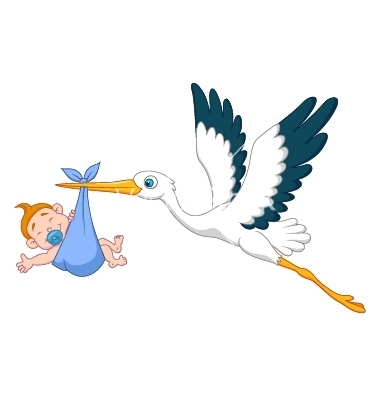 380x400 Stork With Baby Boy Cartoon