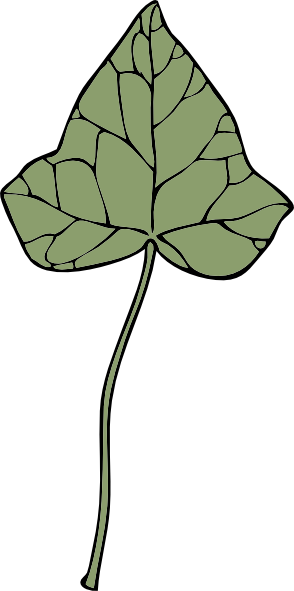 294x591 Ivy Leaf Clip Art Free Vector 4vector