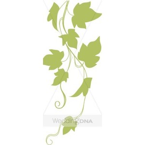 300x300 Ivy Growth Clipart