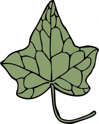 341x425 Oak Ivy Leaf Clip Art Clipart Panda