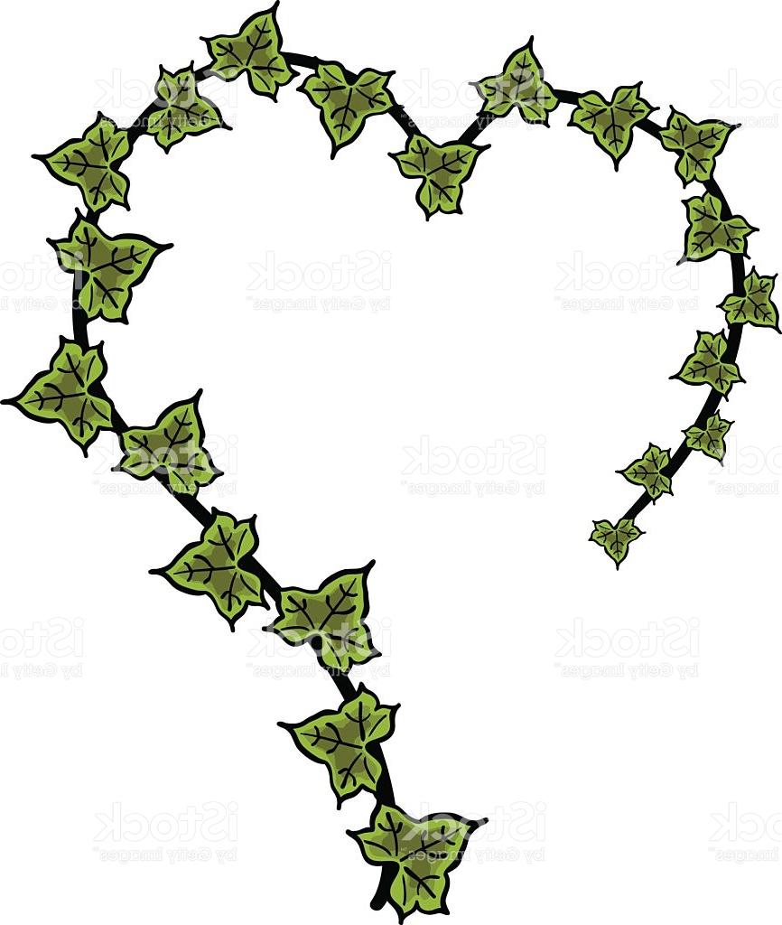 866x1024 Drawn Ivy Clipart 3356707